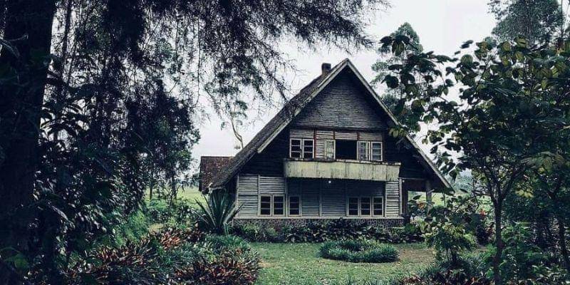 Instagram.com/exrumah